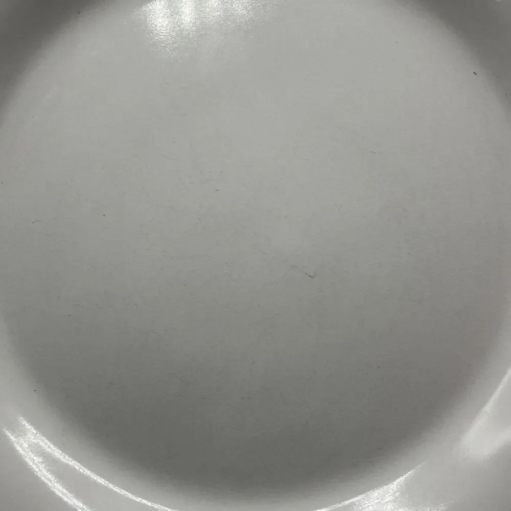Pier 1 Imports Spice Route Salt Stoneware Dinner Plate 10.5